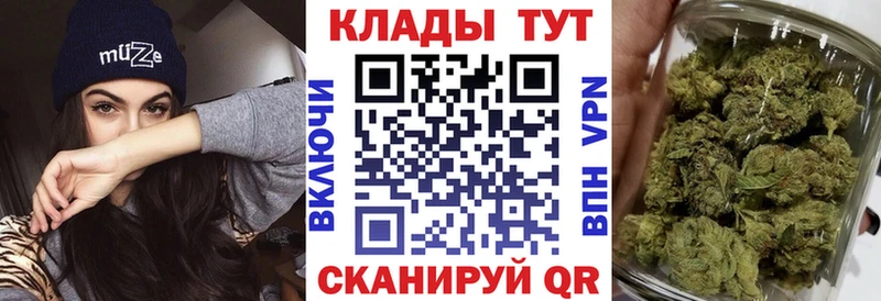 Купить закладку Alpha-PVP  Псилоцибиновые грибы  Каннабис  МЕТАДОН  Меф мяу мяу  Петровск