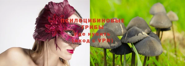 гашишное масло Богородицк